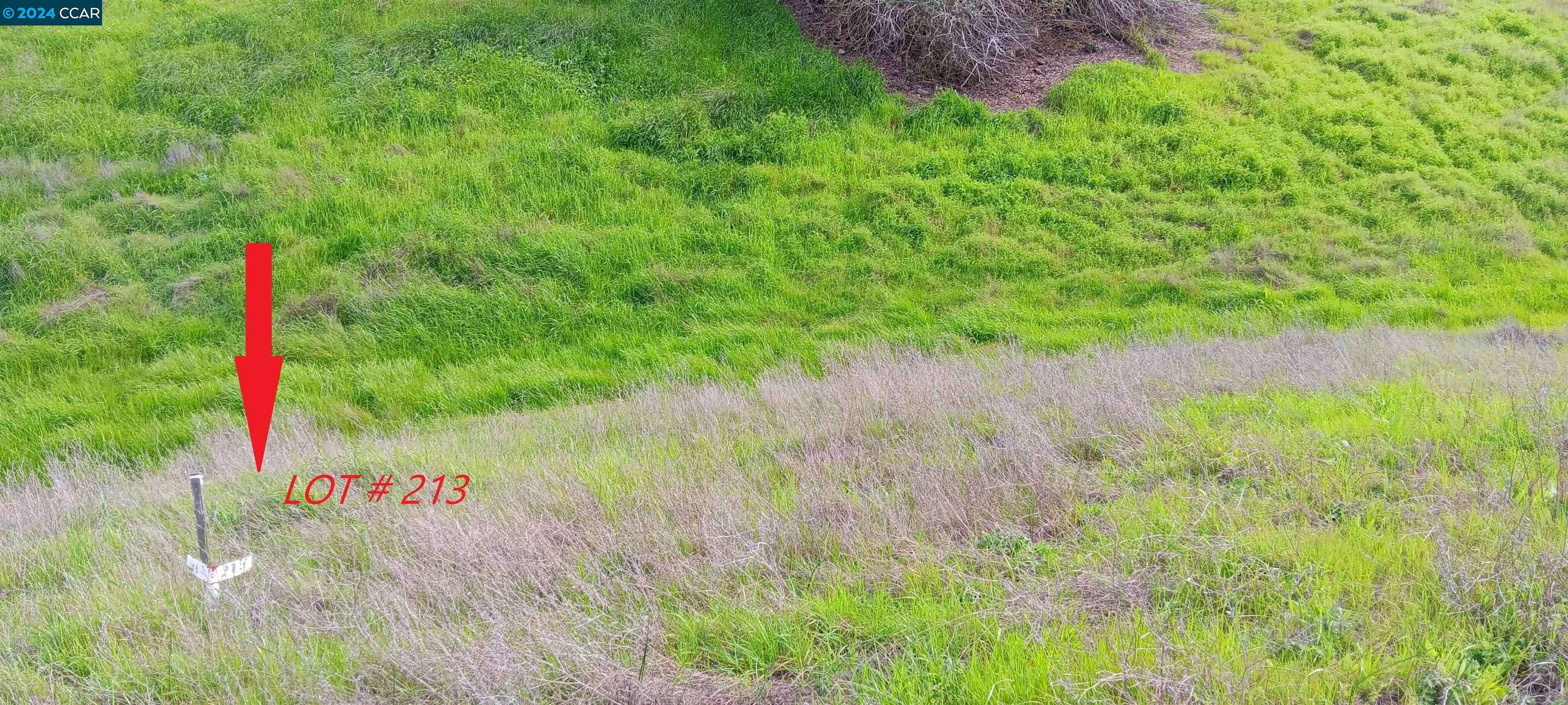 Ione, CA 95640,4689 Roadrunner Dr