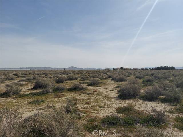 Adelanto, CA 92301,0 Caughlin Rd