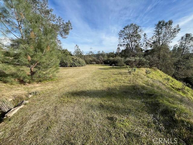 Coarsegold, CA 93614,0 S Long Hollow CT