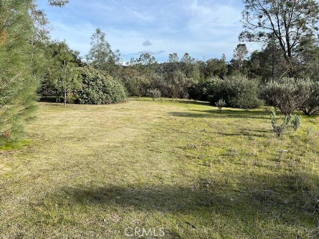 Coarsegold, CA 93614,0 S Long Hollow CT