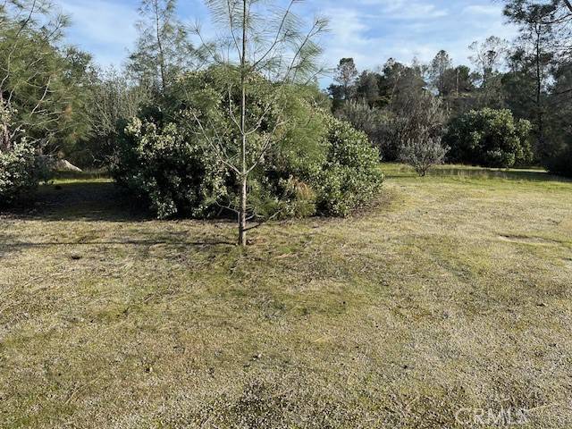 Coarsegold, CA 93614,0 S Long Hollow CT