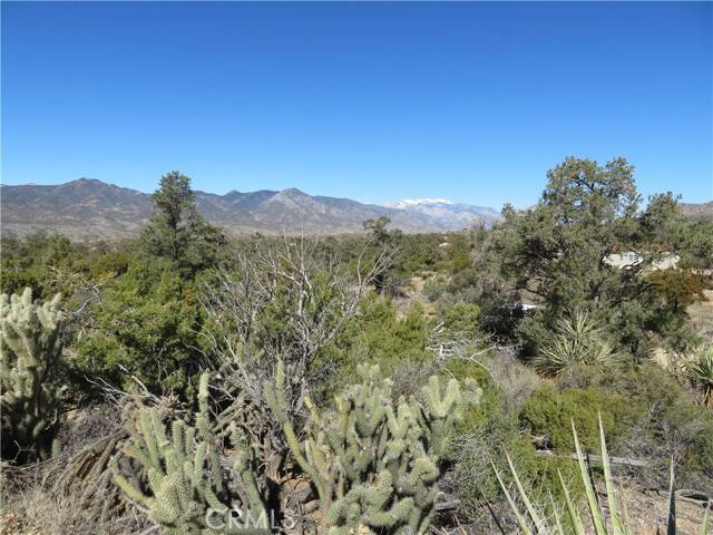 Mountain Center, CA 92561,155 Lot #155 Buckthorn