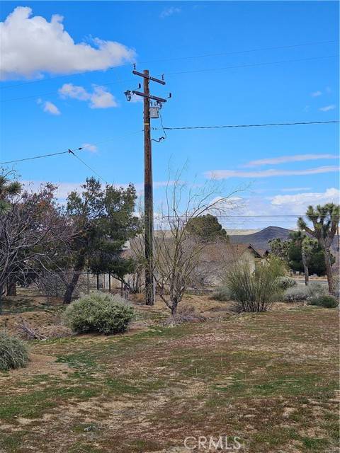 Joshua Tree, CA 92252,60374 La Mirada TRL