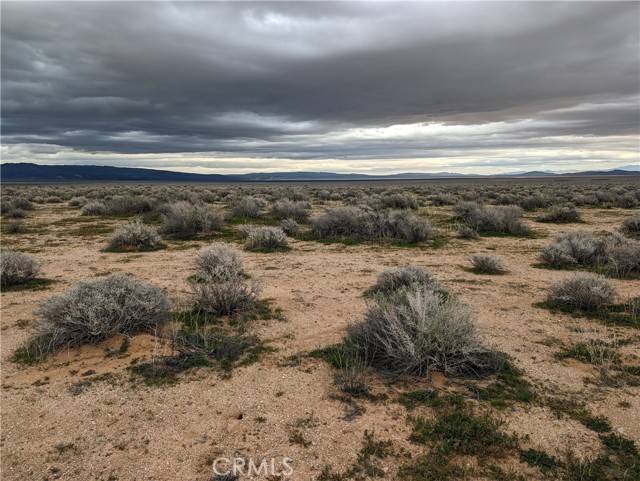 Barstow, CA 92311,0 Fossil Bed RD