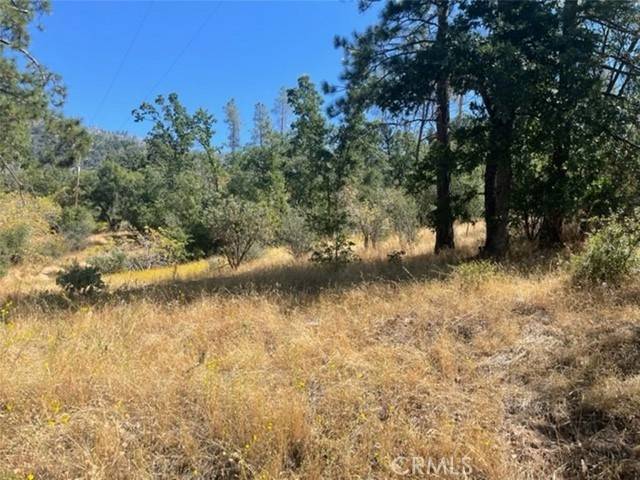 North Fork, CA 93643,0 Lot 2 Peckinpah Acres DR