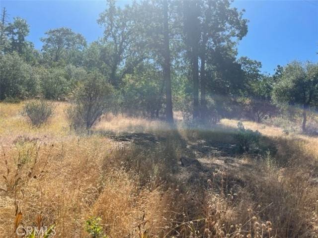 North Fork, CA 93643,0 Lot 2 Peckinpah Acres DR