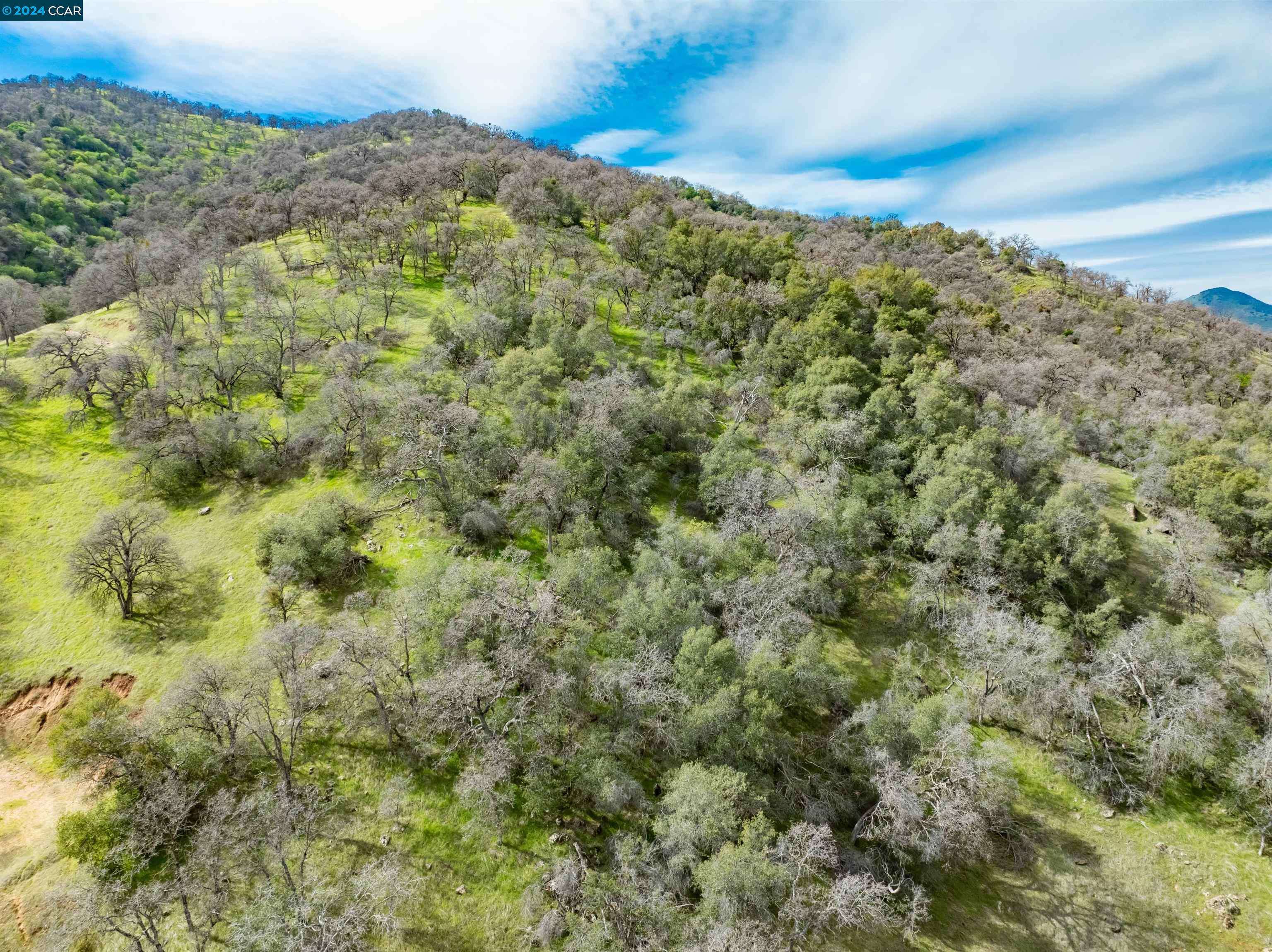 Squaw Vall, CA 93675,Barberry LN