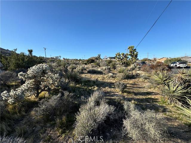 Yucca Valley, CA 92284,0 Buena Suerta RD