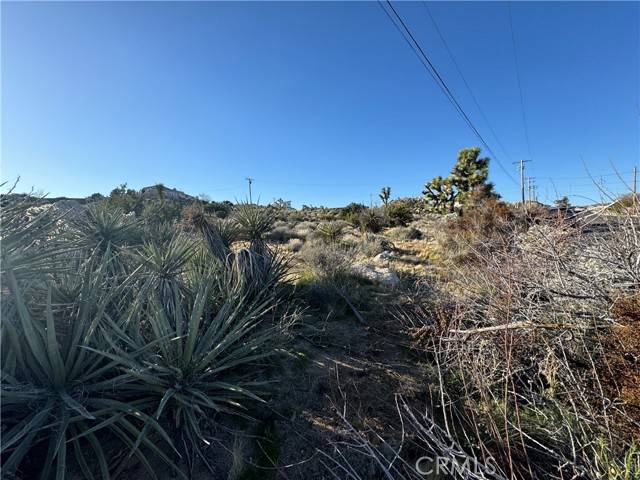 Yucca Valley, CA 92284,0 Buena Suerta RD