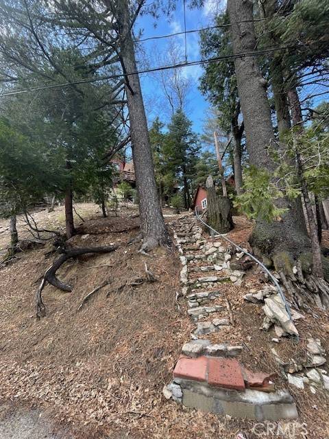 Lake Arrowhead, CA 92352,544 Community DR