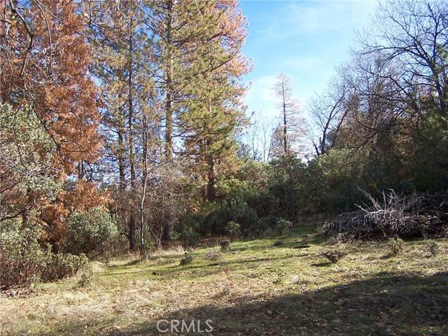 Oakhurst, CA 93644,1 Jean Rd West