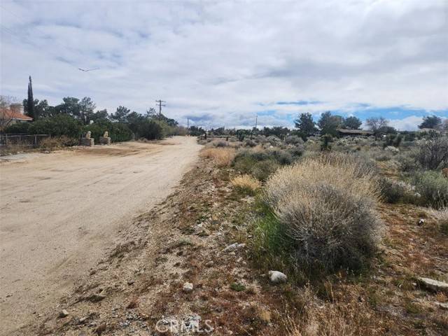 Pinon Hills, CA 92372,0 Oasis