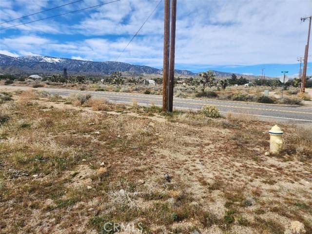 Pinon Hills, CA 92372,0 Oasis