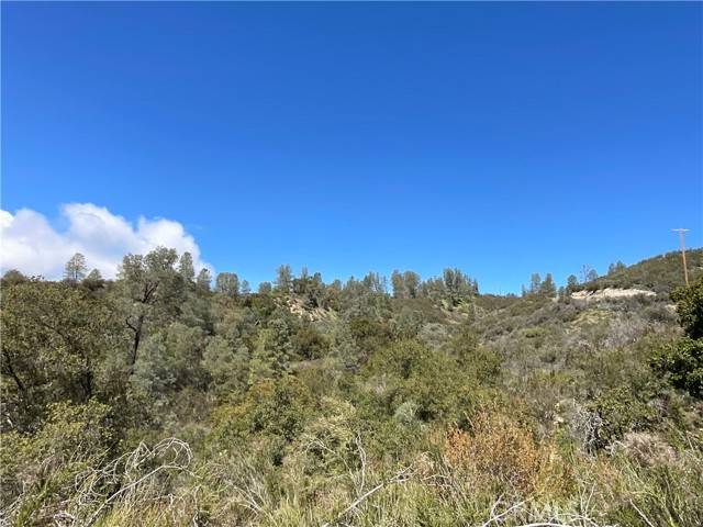 Bradley, CA 93426,1 Bryson-Hesperia RD