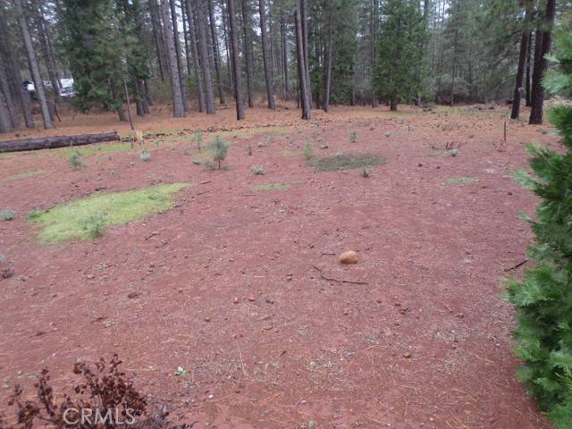 Cohasset, CA 95973,0 Mendocino WAY