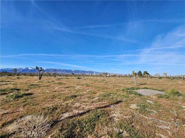 Pinon Hills, CA 92372,0 Marco RD