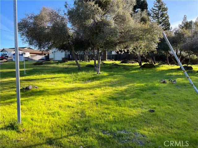 Kelseyville, CA 95451,10497 Fairway PL