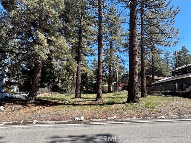 Wrightwood, CA 92397,0 Sheep Creek DR