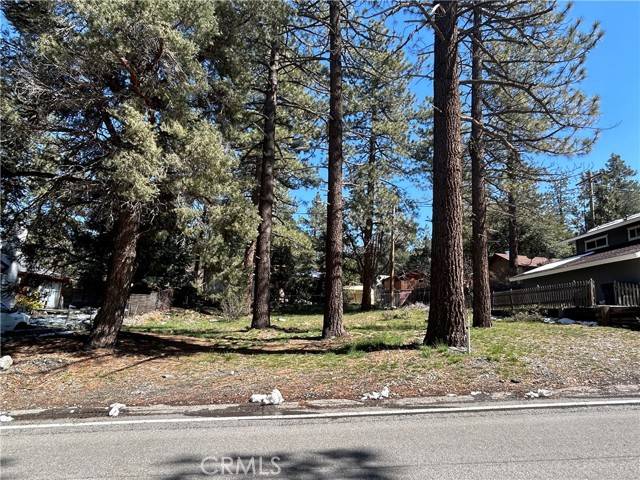 Wrightwood, CA 92397,0 Sheep Creek DR