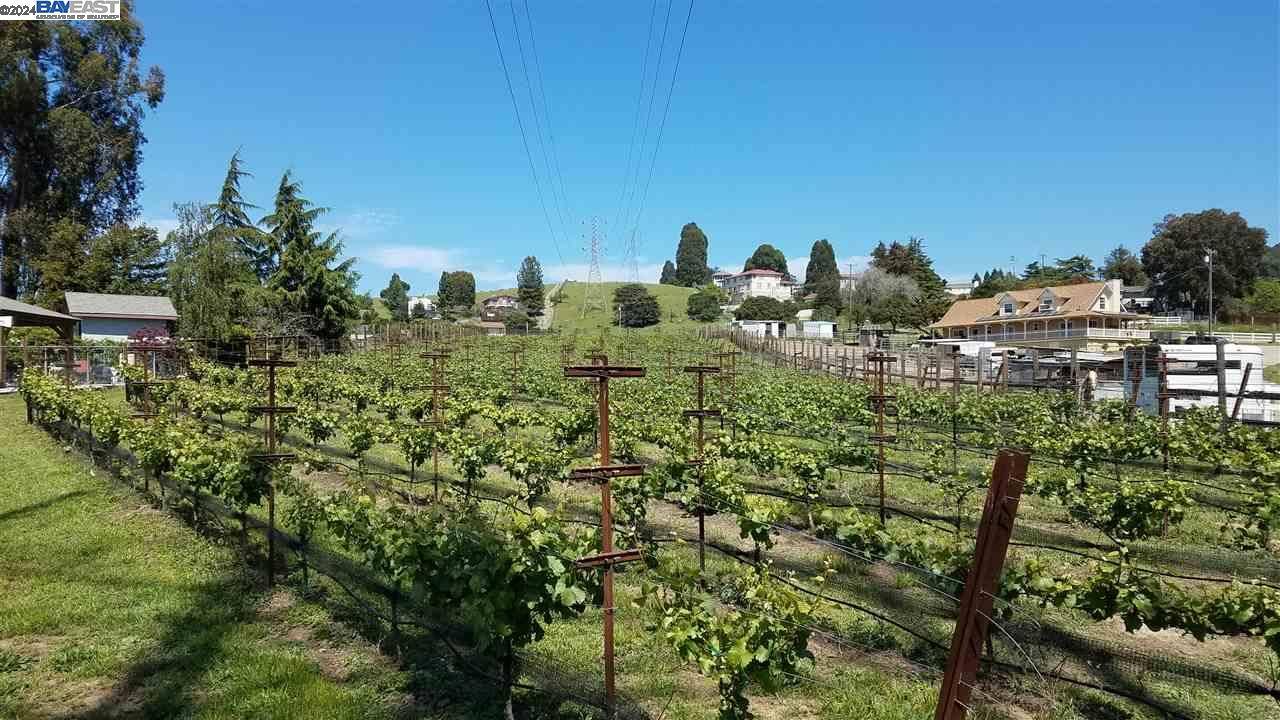 Hayward, CA 94542,0 Fairview Dr.