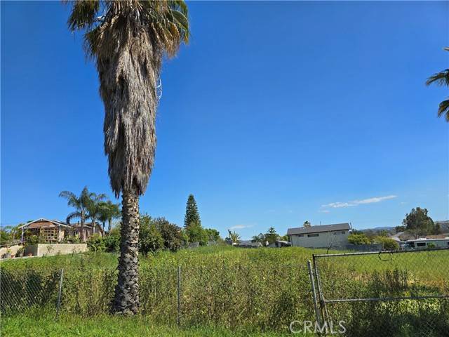 Riverside, CA 92503,0 Selkirk