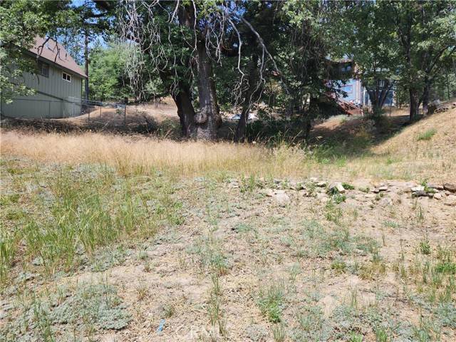 Arrowbear, CA 92382,0 Arrowbear DR