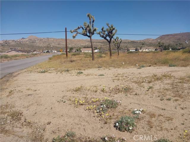 Yucca Valley, CA 92284,729 Twentynine Palms