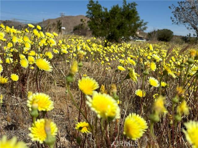 Yucca Valley, CA 92284,6453 Linda Lee DR