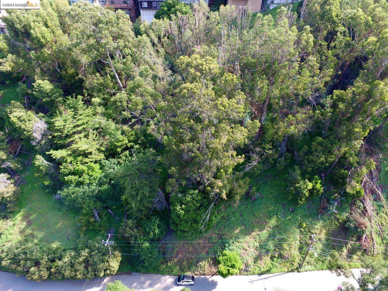 Oakland, CA 94611,Scout Rd