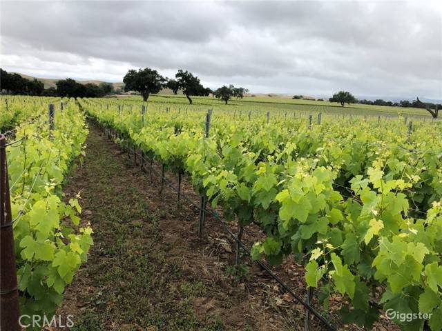Los Olivos, CA 93441,6893 Foxen Canyon RD