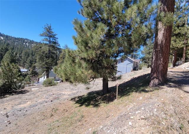 Big Bear Lake, CA 92315,39243 Crest LN