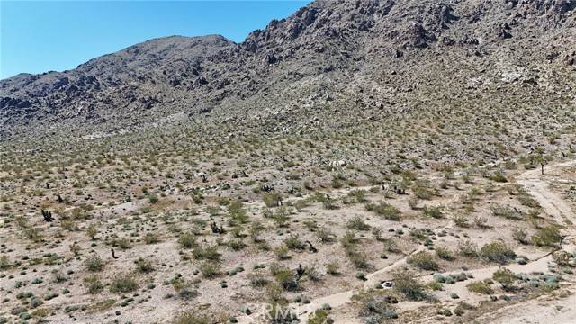 Lucerne Valley, CA 92356,121 CORRALEJO TRL