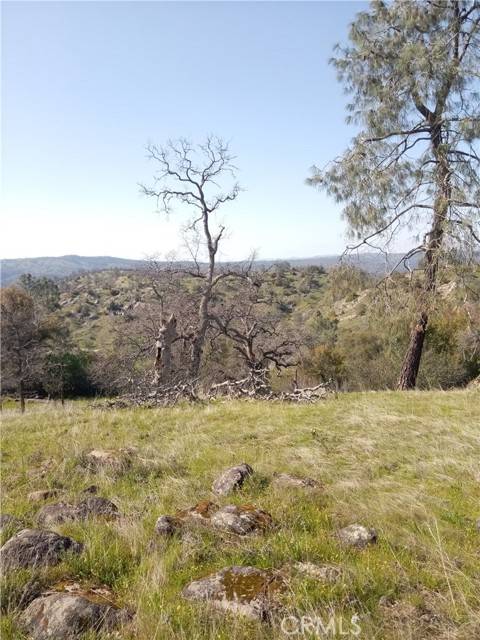 Coarsegold, CA 93614,1988 Lot # N Dome DR