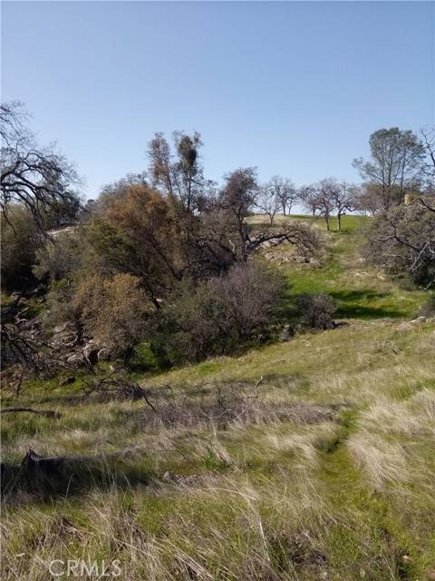 Coarsegold, CA 93614,1988 Lot # N Dome DR