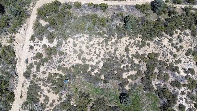 Anza, CA 92539,0 Old Forest Rd