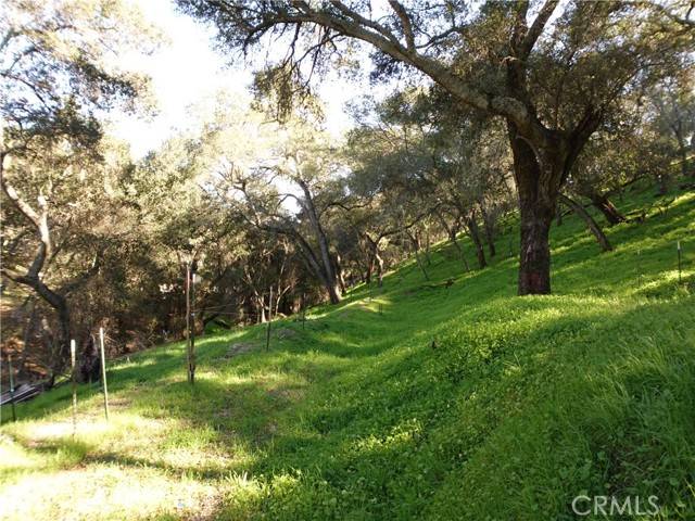 Atascadero, CA 93422,5495 Encino AVE