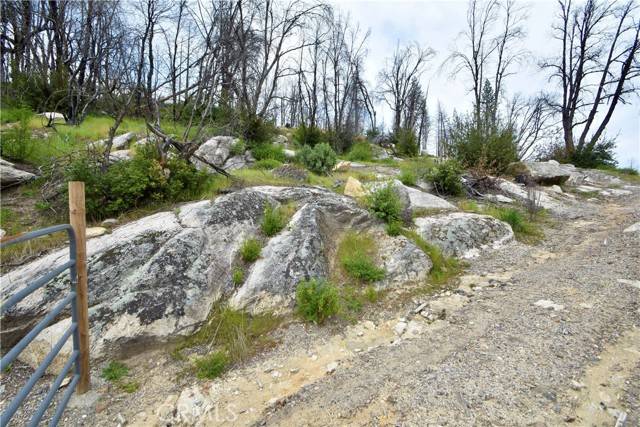 Berry Creek, CA 95916,80 Oak DR
