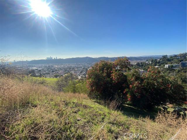 Mount Washington, CA 90065,280 Grand View TER