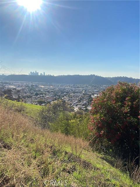 Mount Washington, CA 90065,280 Grand View TER