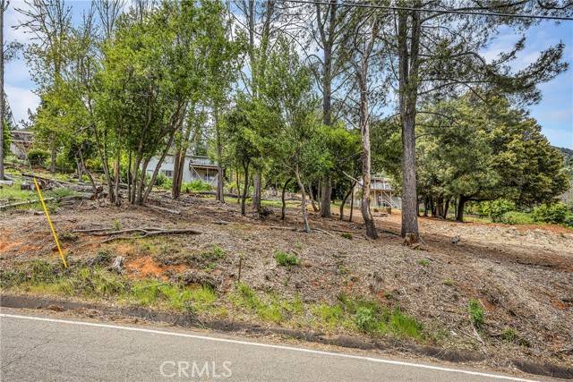 Kelseyville, CA 95451,3511 Knob Cone DR