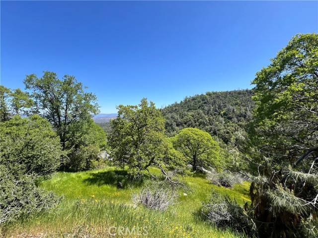 Mariposa, CA 95338,0 Lakeside DR