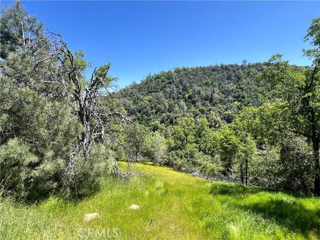 Mariposa, CA 95338,0 Lakeside DR