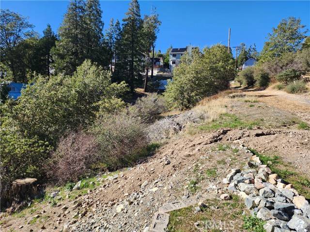 Cedar Glen, CA 92321,0 Balsam WAY