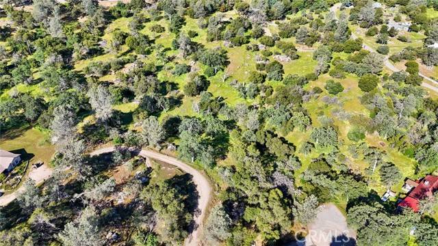 Coarsegold, CA 93614,36510 American WAY