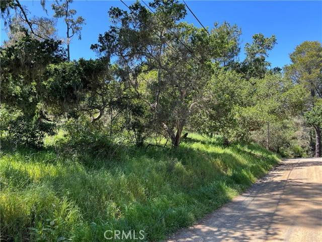 Cambria, CA 93428,0 Camborne PL