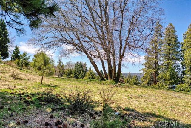 Lake Arrowhead, CA 92352,159 Mill Pond RD