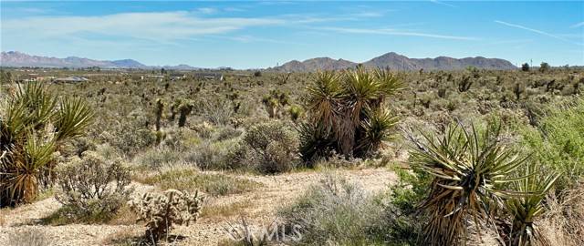 Lucerne Valley, CA 92356,0 Mountain VW