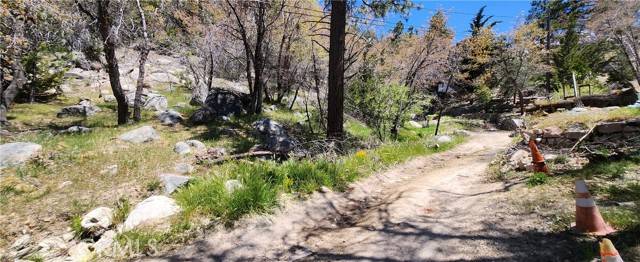 Arrowbear, CA 92382,0 Deer LN