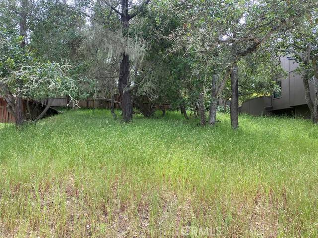 Cambria, CA 93428,0 Ardath DR