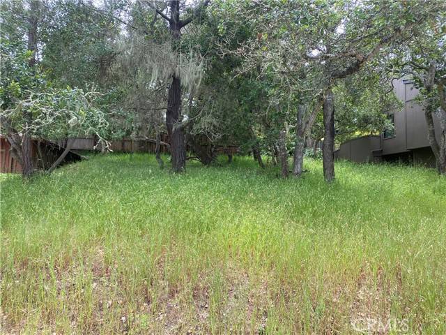 Cambria, CA 93428,0 Ardath DR